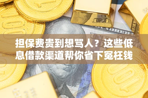 北京担保费贵到想骂人？这些低息借款渠道帮你省下冤枉钱
