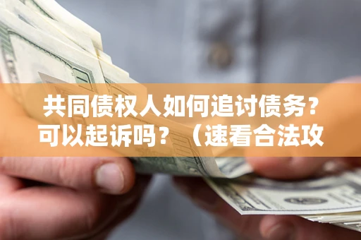 北京共同债权人如何追讨债务？可以起诉吗？（速看合法攻略）