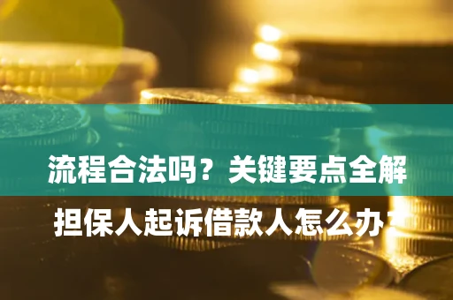 北京

担保人起诉借款人怎么办？流程合法吗？关键要点全解析